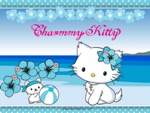 Disque azyme Charmmy Kitty plage a4